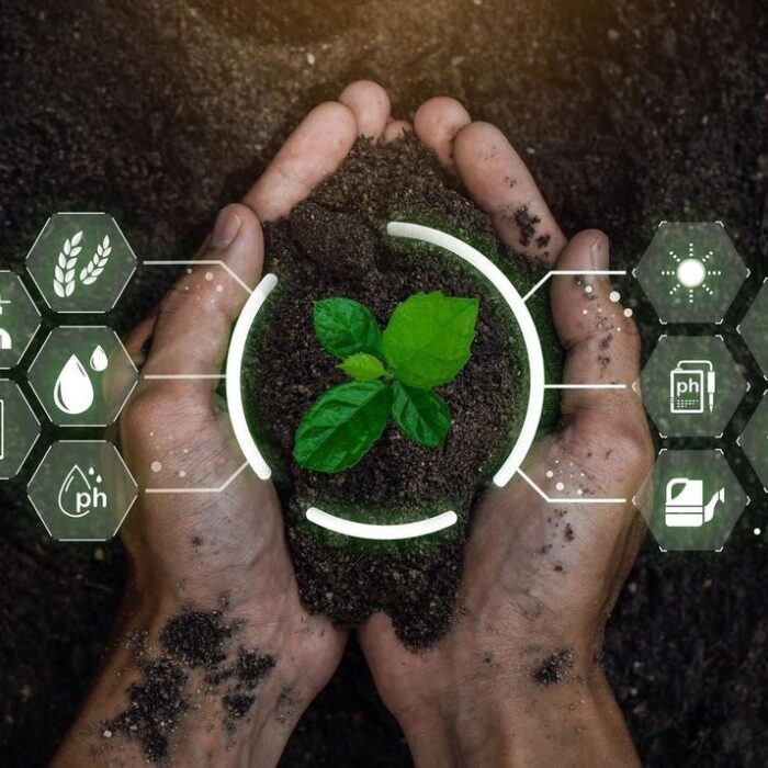 Biosar Hero Image 2 : Hands holding soil with plant