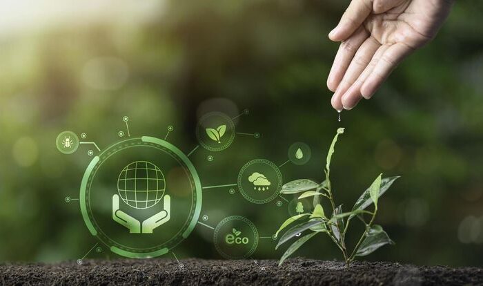 Biosar Hero Image : Hand nurturing a growing plant