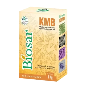 BIOSAR KMB