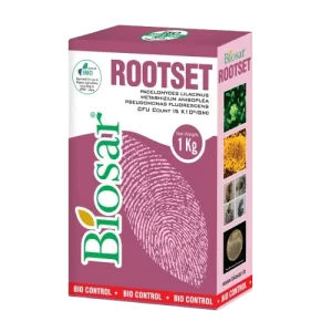 BIOSAR ROOTSET