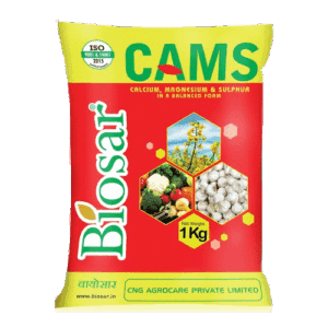 BIOSAR CAMS