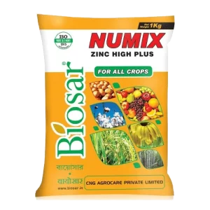 BIOSAR NUMIX